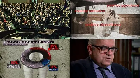 Priorytety i polityka. O europejskiej konwencji antyprzemocowej