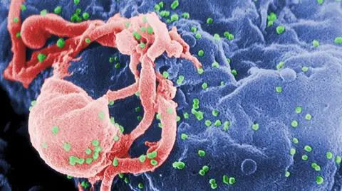 HIV odporny na leki będzie coraz częstszy