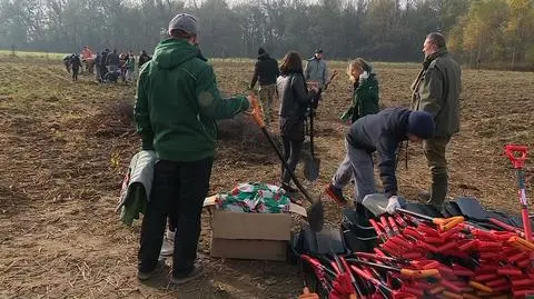 Kraków. Sadzą las "Prawiek", żeby uczcić Olgę Tokarczuk
