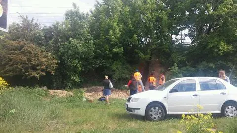 Dwie kości i ludzką czaszkę odkopano pod wiaduktem w Poznaniu