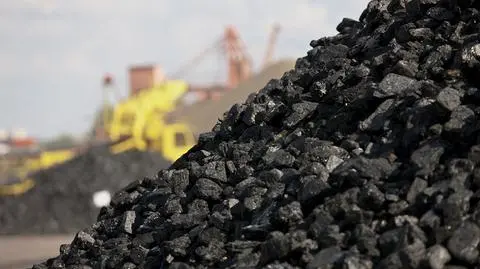 Minister energii o węglu z Donbasu