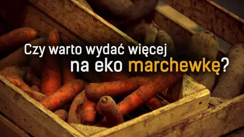 Bio żywność pod lupą