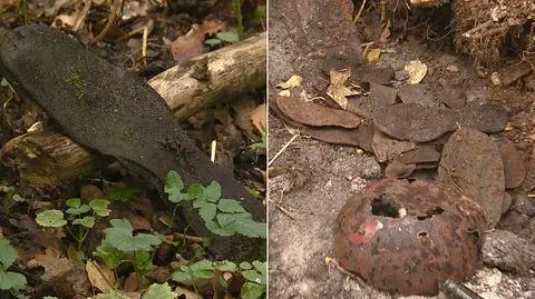 Muzeum Stutthof zajmie się pozostałościami po dawnym obozie