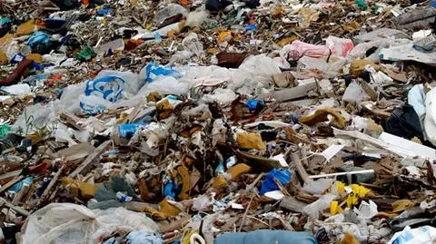 Nowe ceny wywozu śmieci. Wrocławscy radni zmieniają projekt