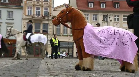 Bydgoszcz broni hodowli koni arabskich