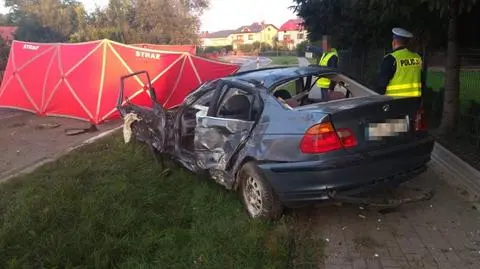 Wypadek drogowy pod Biłgorajem. Nie żyje kierowca