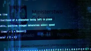 Szef szwedzkiego wskazuje Rosjan jako źródło cyberprzestępstw