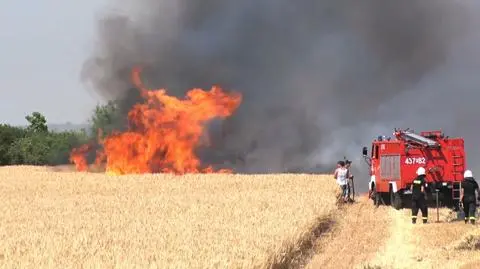 Heatwave, drought and fires. Firefighters in Greater Poland voivodeship tackle a grain field fire