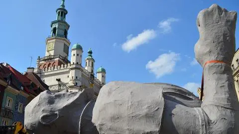 Nowe pomniki w Poznaniu? Kolosy na Starym Rynku
