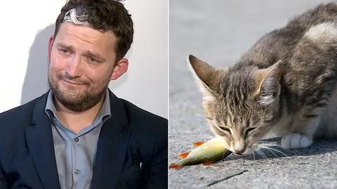 Nie dopilnował kota. Sąd ukarał go naganą