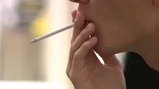 W całej UE pali 26 proc. Europejczyków