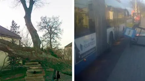 Zniszczenia po wichurze 
w obiektywie internautów