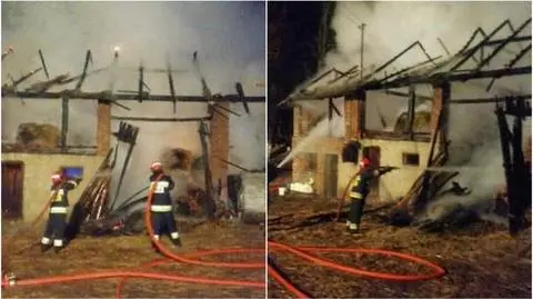 Bieszczady. Pogranicznicy ocalili konie z płonącego budynku