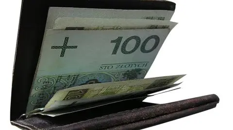 31 mln zł - najbardziej zadłużony konsument