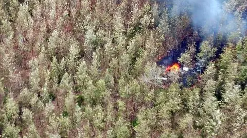 Katastrofa samolotu z turystami w Kostaryce