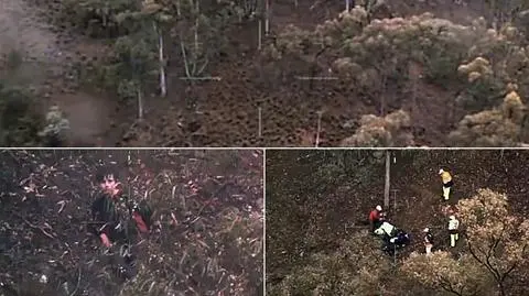 Australia: autystyczny chłopiec spędził pięć dni w buszu