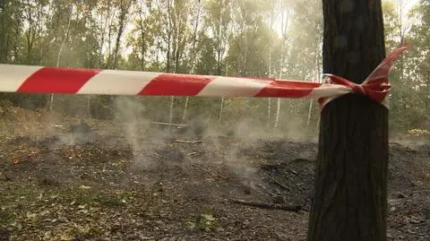 Drzewa płoną od korzeni. Strażacy szukają ognia. Groźny pożar hałdy.