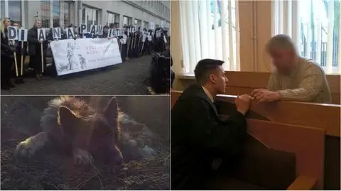 Zakopał żywcem psa, bo się przeprowadzał. Oprawca suczki przed sądem
