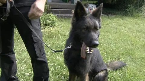 Po czterech miesiącach Caley wrócił do domu