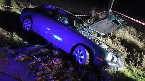 Jaguar wpadł do przydrożngo rowu