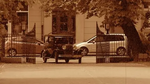 Automobile wjechały na teren parku Wilsona