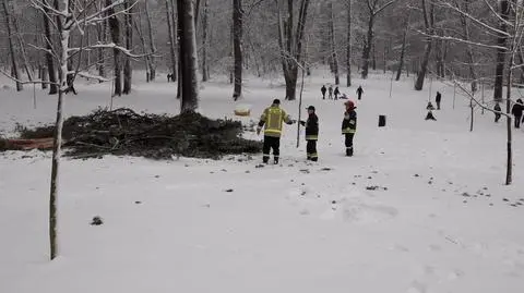 Gałęzie oberwały się pod ciężarem śniegu