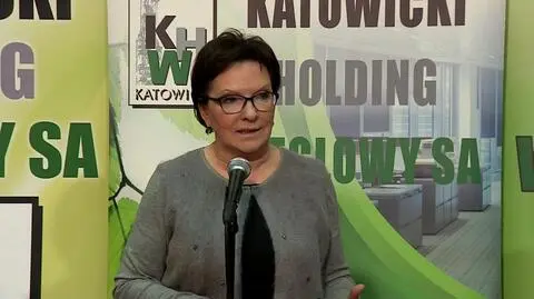 Kopacz walczyła o głosy na Śląsku