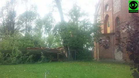 Śląskie: Ksawery uszkodził 700-letnią lipę z Cielętnik