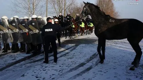 Chorzów. Egzamin koni policyjnych