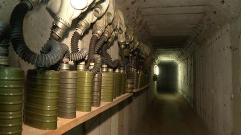 W tunelach zimują nietoperze