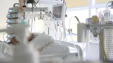 Ukąszony łodzianin walczy o życie