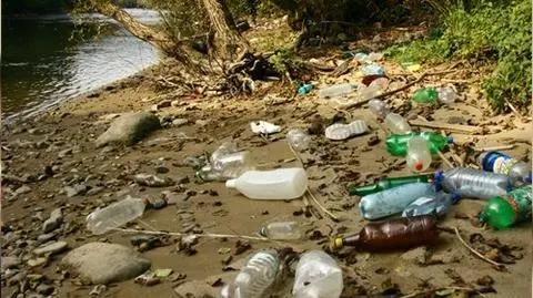 Śmiecisz? Posiedzisz do 12 lat