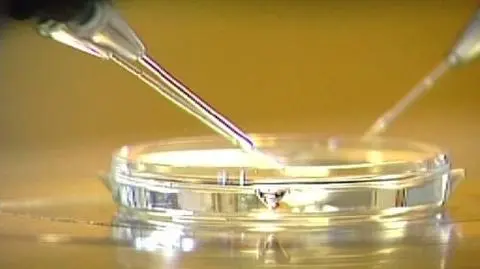 "Komu przeszkadzają dzieci z in vitro"?