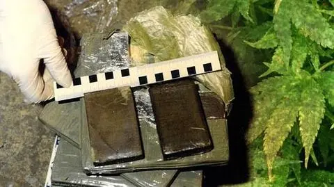 Polscy przemytnicy haszyszu skazani