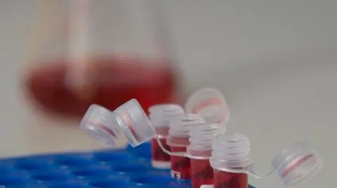 Badania genetyków pomogły rozwiązać policyjne śledztwo