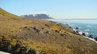 Wyspa Northbrook podzieliła się na dwie