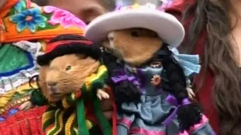 Żywe maskotki do jedzenia