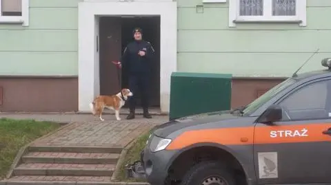 Gdynia: Pies był uwięziony w mieszkaniu z właścicielem, który zmarł