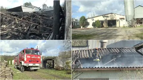 16 zastępów gasiło pożar kurnika. Drób ocalał