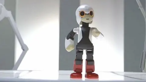 Kibo poleci w kosmos