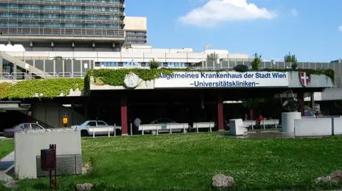 Austria. Homoseksualny lekarz nakłonił lekarkę do zostania surogatką