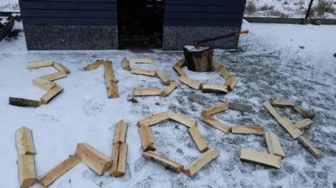 Koniec licytacji - radny porąbie drzewo za 3150 zł (wideo archiwalne)