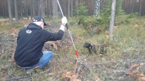 Lubliniec. Suka przywiązana do drzewa, obok szczeniaki. 4 nie przeżyły