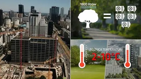 "Polska i Świat". Ekologiczna klimatyzacja