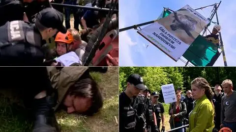 Ekolodzy protestują przeciw wycince drzew w Puszczy Białowieskiej