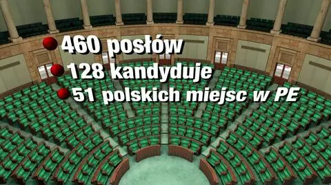 Do Parlamentu Europejskiego kandyduje aż 128 urzędujących posłów