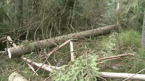 Żywioł najbardziej dotknął powiat tatrzański