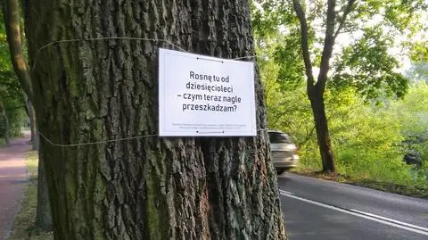 Takie tabliczki zawieszono na drzewach wzdłuż drogi
