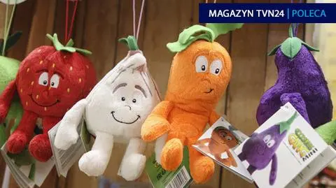 Zatrzymanemu grozi do 5 lat więzienia
