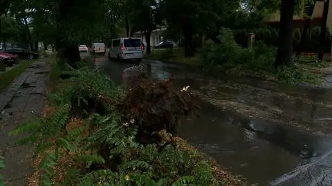 Dangerous weather in Poland. The Institute of Meteorology and Water Management has issued warnings